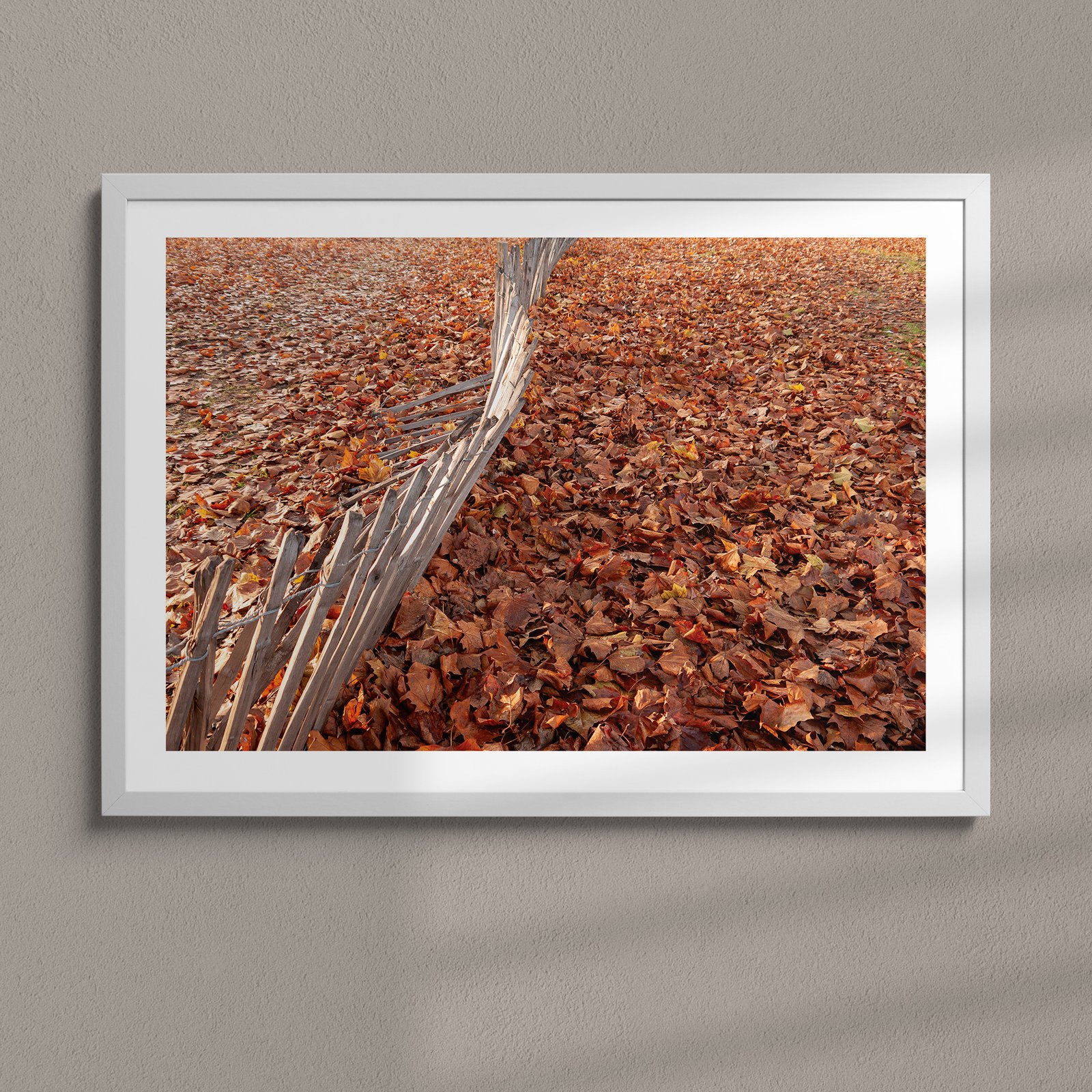 Horizontal aerial landscape photograph of a meandering waterway through terracotta terrain in a white frame with white mat, hung on a soft gray wall in a minimalist setting with subtle studio lighting.