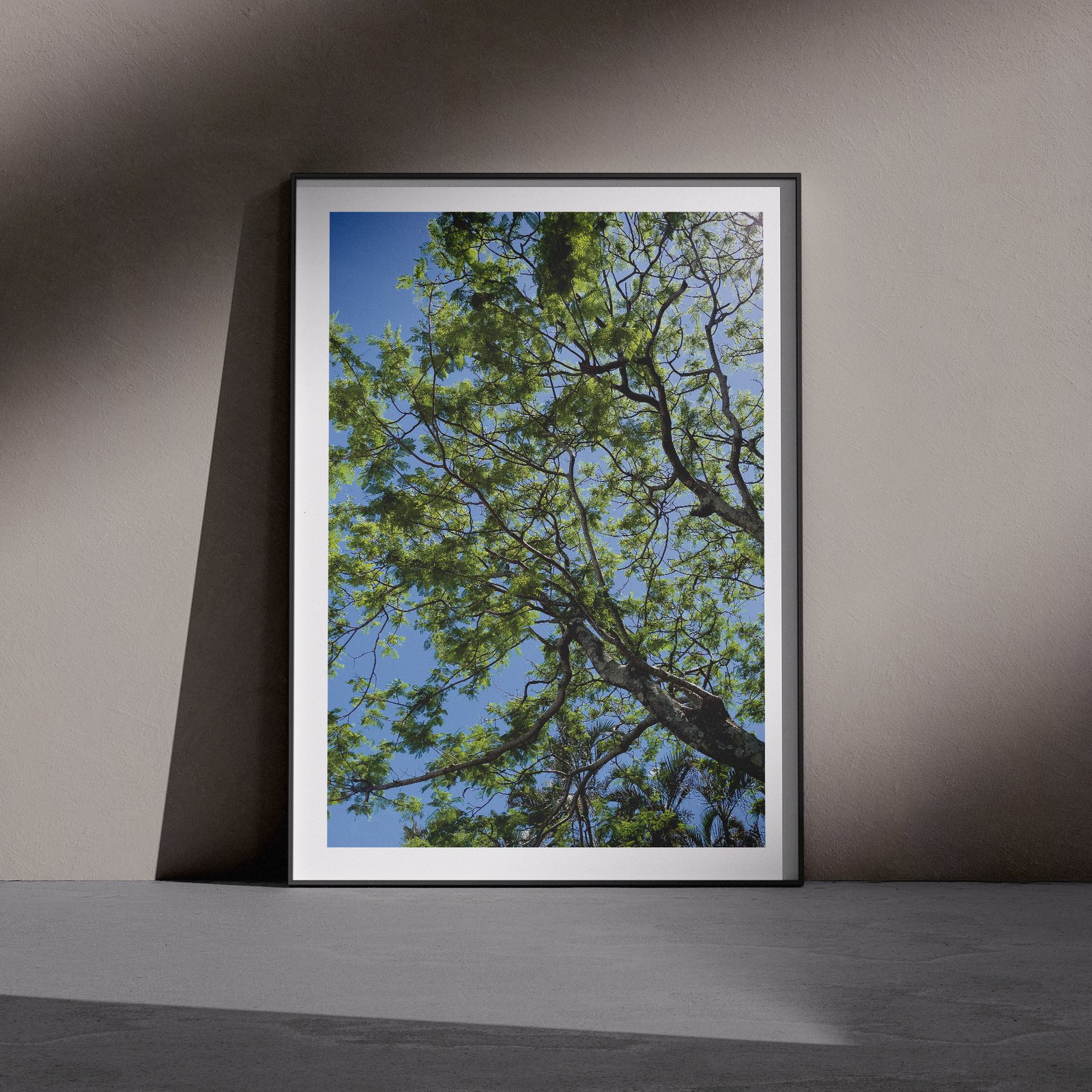 Vertical nature photograph of a tree canopy viewed from below showing bright green foliage, branching structure, and clear blue sky, displayed in a white frame with black outer frame, leaning against a dark gray wall in a gallery-style floor presentation with dramatic side lighting.