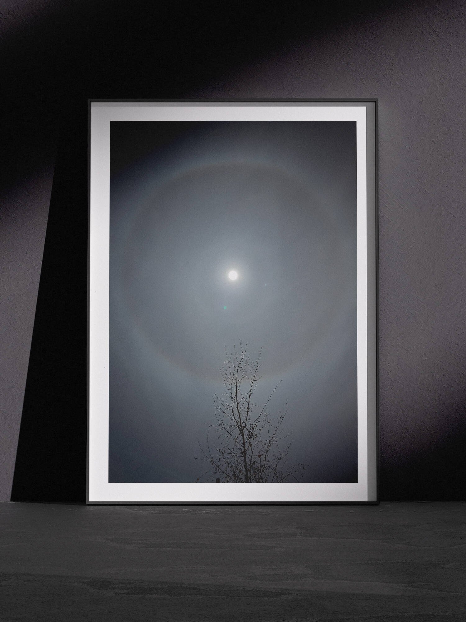Vertical moody night sky photograph showing a luminous full moon surrounded by gray cloudy atmosphere with a delicate silhouetted bare tree branch in the foreground, displayed in a white frame, leaning against a dark charcoal wall in a gallery-style floor presentation with dramatic side lighting.
